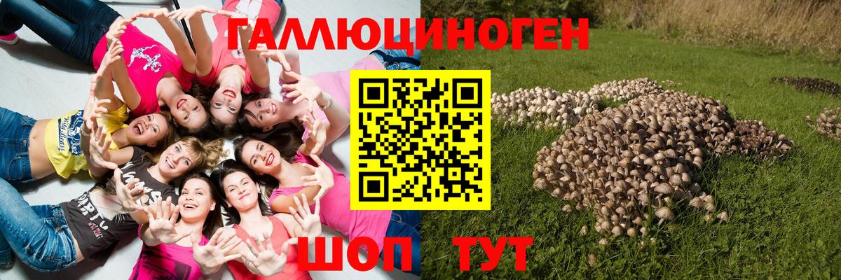 Галлюциногенные грибы ЛСД Каменск-Шахтинский