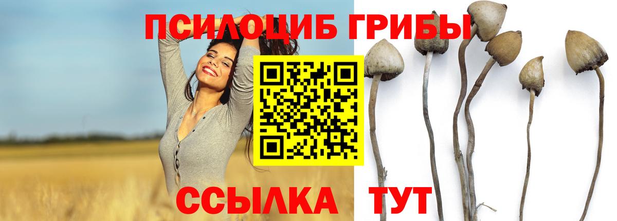 Каменск-Шахтинский  Галлюциногенные грибы мухоморы  Псилоцибиновые грибы Psilocybe  Вход с VPN 